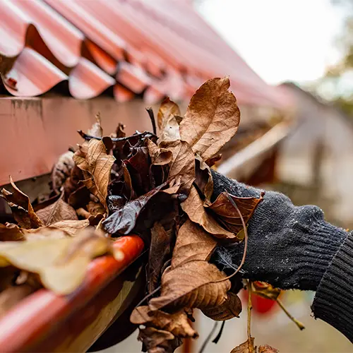 Property Maintenance